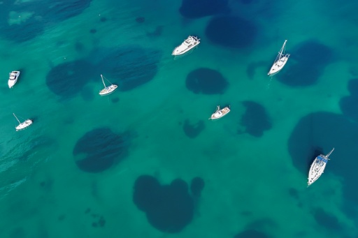 Vue aérienne des herbiers de posidonie, formant des ombres sous l'eau, alors que des bateaux sont amarrés dans la baie de Porto Rafti, près d'Athènes, le 11 février 2026 en Grèce