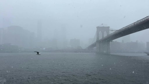 Chute de neige sur Times Square à New York le 22 février 2026