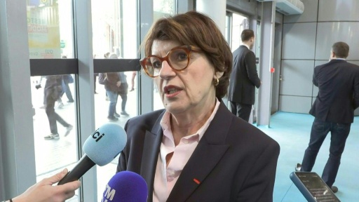 Application provisoire du Mercosur par l'UE: