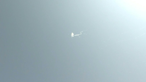 Un missile iranien intercepté au-dessus de la capitale du Qatar