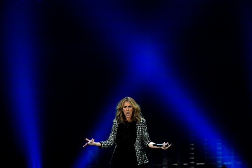 Céline Dion sur scène le 4 juillet 2017 à Paris