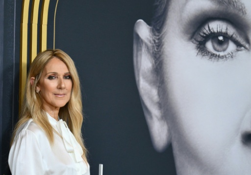 Céline Dion assiste à une projection du documentaire