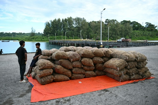 Des employés attendent de pouvoir charger de la marchandise à bord du ferry Kalighat, le 30 mars 2026 à Campbell Bay, un village du district de Nicobar dans l'archipel indien des Andaman-et-Nicobar