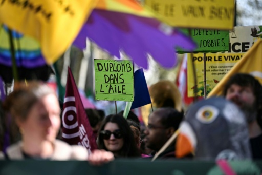 Une pancarte « Duplomb dans l'aile » d'un opposant à la loi Duplomb durant une manifestation contre l'usage des pesticides à Paris le 4 avril 2026