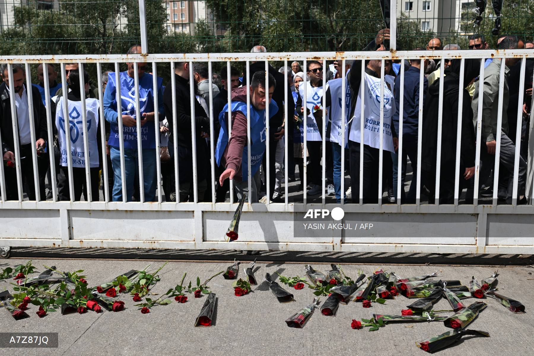 Roses déposées au sol devant la grille de l'école Ayser Çalık Ortaokulu à Kahramanmaraş, en hommage aux victimes de la tuerie du 15 avril 2026