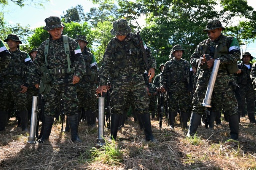Des combattants de la guérilla CNEB en formation lors de la cérémonie de désarmement dans le Putumayo, en Colombie