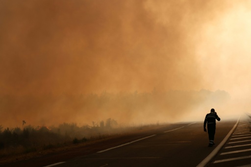Un pompier marche seul sur une route à la lisière d'une zone de pinède incendiée