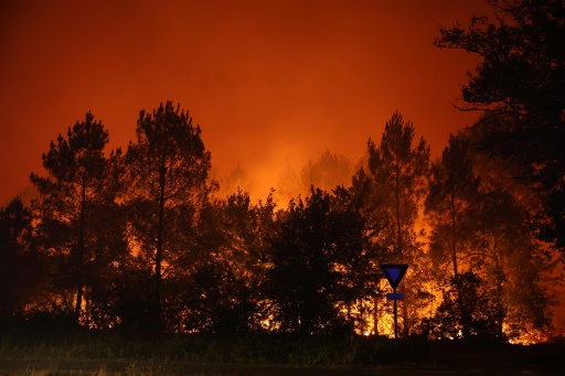 La forêt de pins en feu sous un ciel orange, de nuit