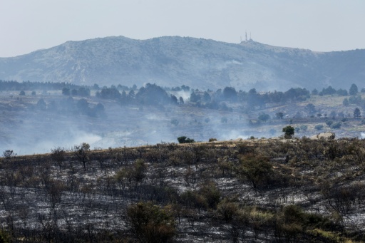 Paysage calciné et panaches de fumée dans la province de Guadalajara