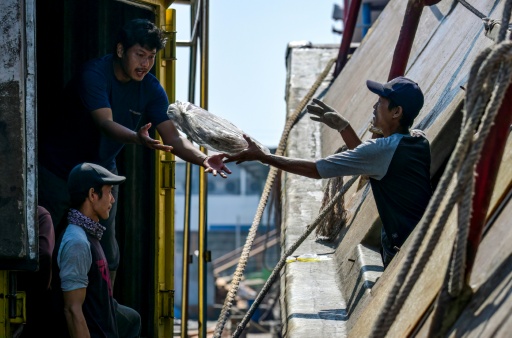 Des membres d'équipage déchargent leur pêche au port de Nusantara en Indonésie